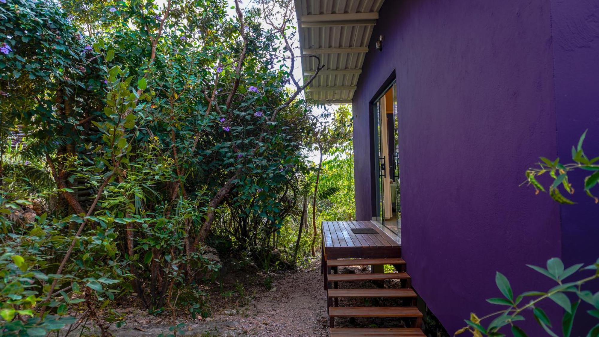 Vila Flor - Chapada Dos Veadeiros Alto Paraiso de Goias Exterior photo